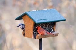 EcoTough™ Classic Bird Feeder 